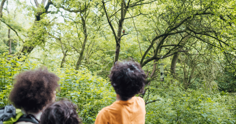 Bird Watching Activities for Kids: Discovering the Wonders of Nature